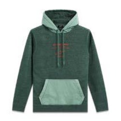 Alpinestars Occurance Hoodie - Green